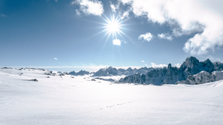 snowy-summits 42 listahan